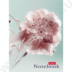 Зап. книжка  32л А6 "Живые моменты" клетка,глянц.ламин.,ассорти NEW | Фото 8