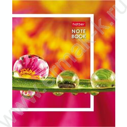 Зап. книжка  32л А6 "Живые моменты" клетка,глянц.ламин.,ассорти NEW | Фото 9