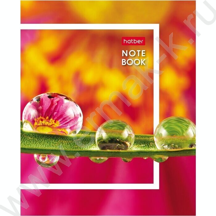 Зап. книжка  32л А6 "Живые моменты" клетка,глянц.ламин.,ассорти | Фото 9