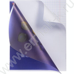 Тетрадь  40л клетка/пластик обл. "New fruits" ассорти NEW | Фото 7