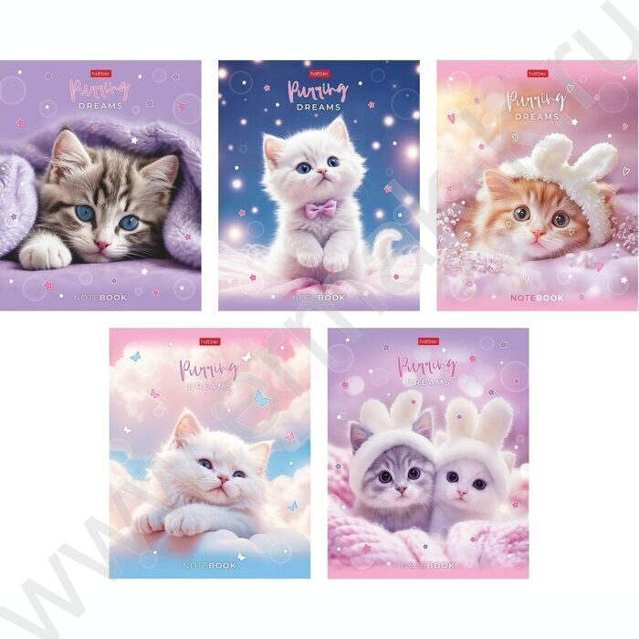 Тетрадь  48л клетка/пластик обл. "Нежные мечты" ассорти | Фото 1