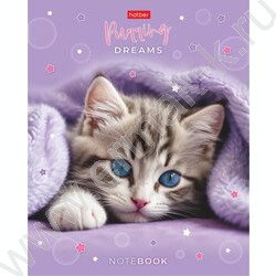 Тетрадь  48л клетка/пластик обл. "Нежные мечты" ассорти NEW | Фото 2