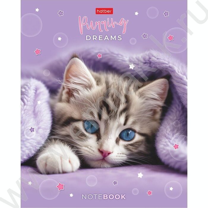 Тетрадь  48л клетка/пластик обл. "Нежные мечты" ассорти | Фото 2