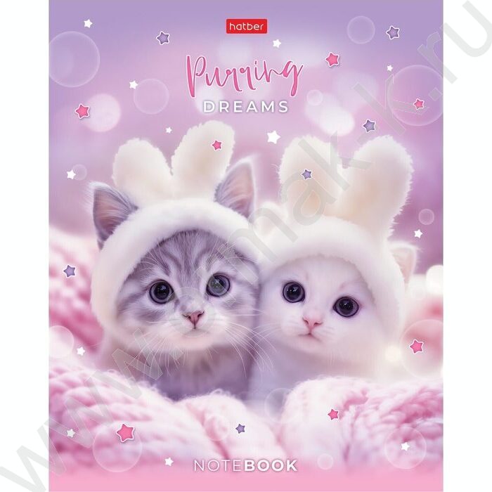 Тетрадь  48л клетка/пластик обл. "Нежные мечты" ассорти | Фото 6