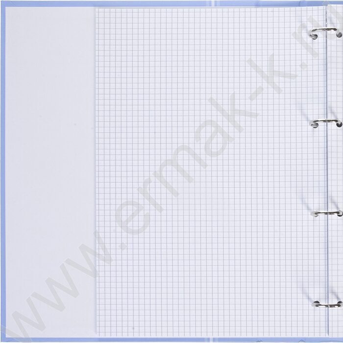 Тетрадь  80л А4 клетка/кольца ламинация Soft-touch/  "NEWtone PASTEL Голубая дымка" NEW | Фото 2