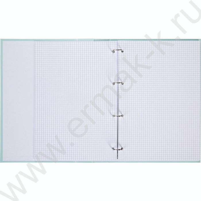 Тетрадь  80л А4 клетка/кольца ламинация Soft-touch/  "NEWtone PASTEL Зеленый нефрит" | Фото 2