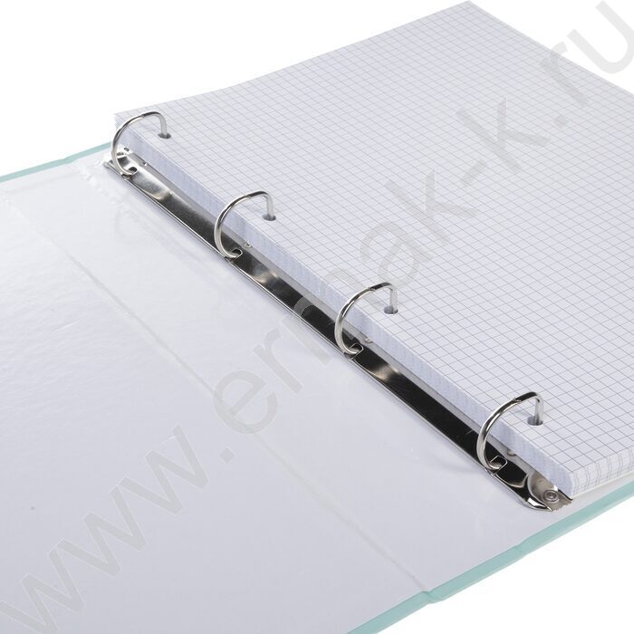 Тетрадь  80л А4 клетка/кольца ламинация Soft-touch/  "NEWtone PASTEL Зеленый нефрит" | Фото 3