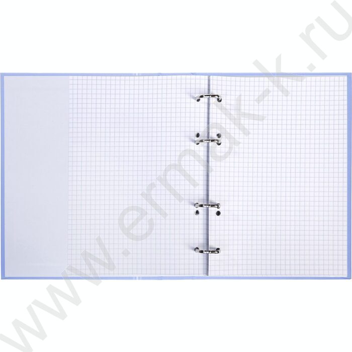 Тетрадь  80л А5 клетка/кольца /ламинация Soft-touch/  "NEWtone PASTEL Голубая дымка" | Фото 2