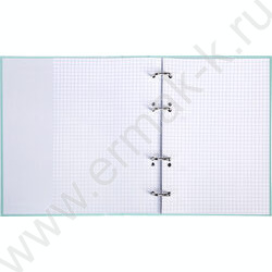 Тетрадь  80л А5 клетка/кольца /ламинация Soft-touch/  "NEWtone PASTEL Зеленый нефрит" NEW | Фото 2