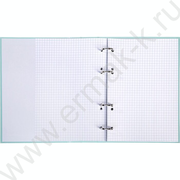 Тетрадь  80л А5 клетка/кольца /ламинация Soft-touch/  "NEWtone PASTEL Зеленый нефрит" NEW | Фото 2