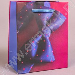 Пакет подарочный бумажный 12*15см Мужской микс NEW | Фото 3