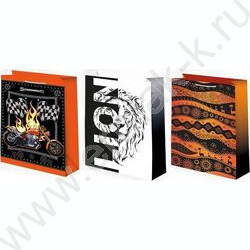 Пакет подарочный бумажный 14*20см Мужской микс NEW | Фото 1