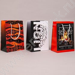 Пакет подарочный бумажный 14*20см Мужской микс NEW | Фото 2