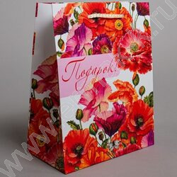 Пакет подарочный бумажный 18*23см Женский микс NEW | Фото 4