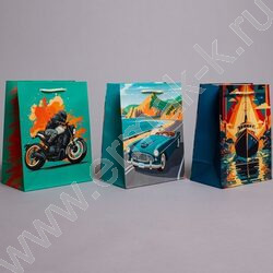 Пакет подарочный бумажный 18*23см Мужской микс NEW | Фото 2