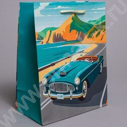 Пакет подарочный бумажный 18*23см Мужской микс NEW | Фото 3