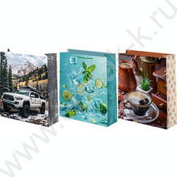 Пакет подарочный бумажный 18*23см Мужской микс NEW | Фото 1