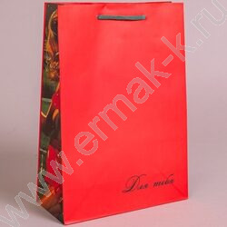 Пакет подарочный бумажный 22*31см Мужской микс NEW | Фото 3