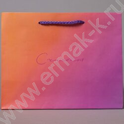 Пакет подарочный бумажный 23*18см Женский микс NEW | Фото 5