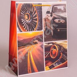 Пакет подарочный бумажный 26*32см Мужской микс NEW | Фото 3