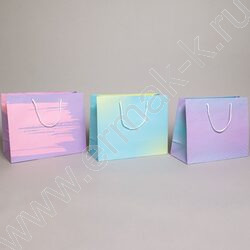 Пакет подарочный бумажный 32*26см Общий микс NEW | Фото 2