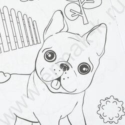 Раскраска А4 Бублик идёт на прогулку NEW | Фото 6