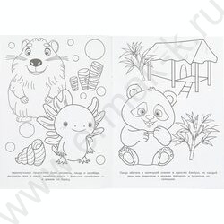 Раскраска А4 Лучшие друзья NEW | Фото 3