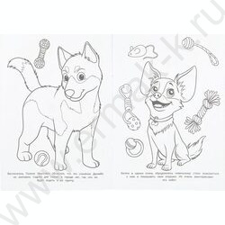 Раскраска А4 Детский сад пушистиков NEW | Фото 4