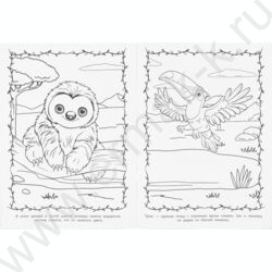 Раскраска А4 Животные жарких стран NEW | Фото 5