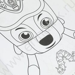 Раскраска А4 Приключения МегаЩенков.Дружная команда NEW | Фото 6