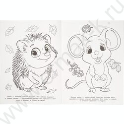 Раскраска А4 Лесные жители NEW | Фото 2