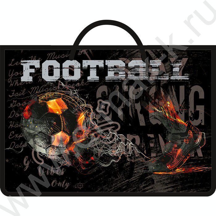 Папка д/тетрадей А4 пластик ручка-шнурок Удар NEW | Фото 1