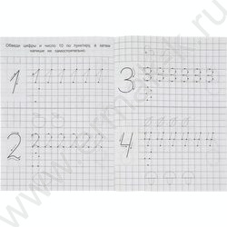 Пропись А5 Прописи для детского сада.Буквы и цифры.4-5 лет NEW | Фото 3