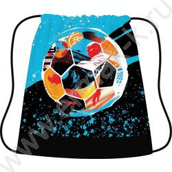 Сумка д/обуви 420*340 цветная с рисунком, ткань "Яркий мяч" NEW | Фото 1