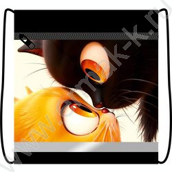 Сумка д/обуви 420*340 с карманом, светоотражающая полоса, на молнии "Два кота" NEW | Фото 1