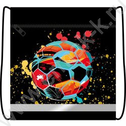 Сумка д/обуви 420*340 с карманом, светоотражающая полоса, на молнии "Яркий мяч" NEW | Фото 1