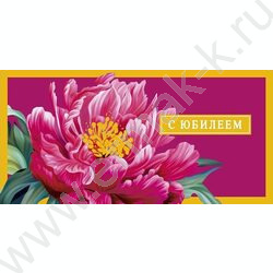 Конверт д/денег  83*167мм  "С Юбилеем" NEW | Фото 1