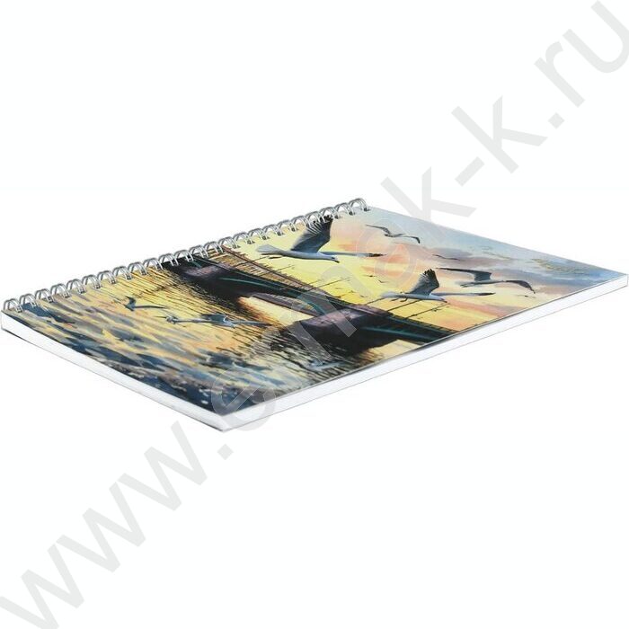 Блокнот  48л А5 спираль "Чайки у моста" клетка/мат.лам. | Фото 2