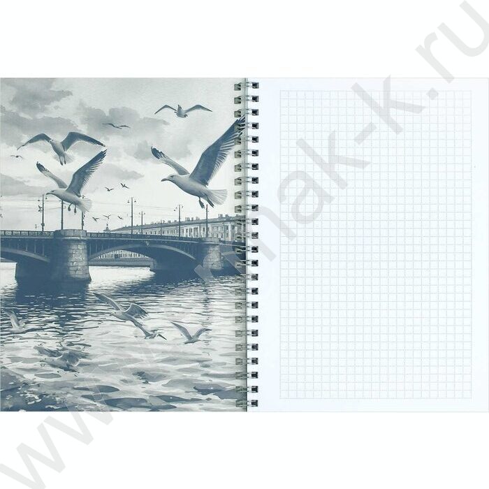 Блокнот  48л А5 спираль "Чайки у моста" клетка/мат.лам. | Фото 3