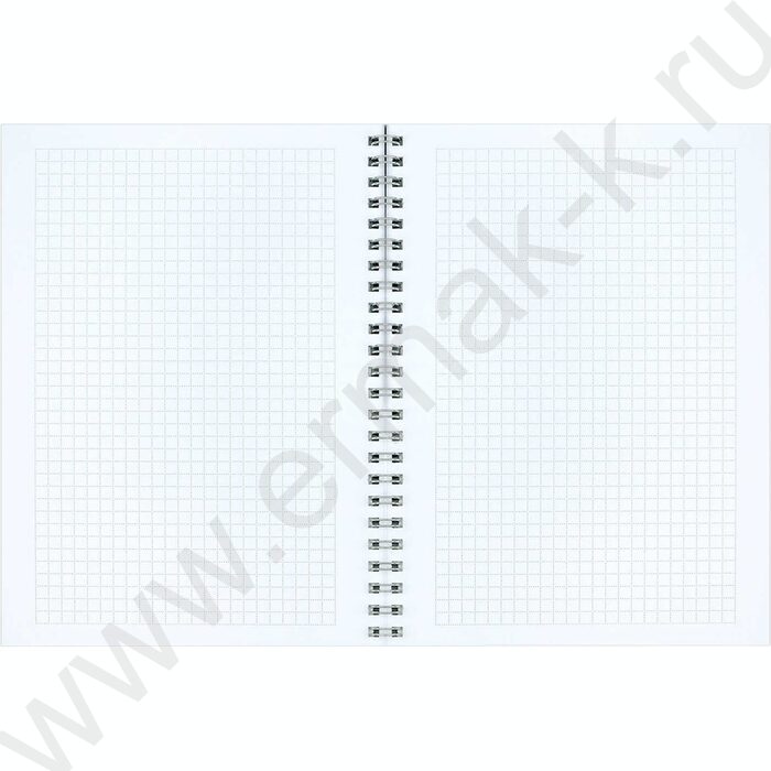 Блокнот  48л А5 спираль "Чайки у моста" клетка/мат.лам. | Фото 4