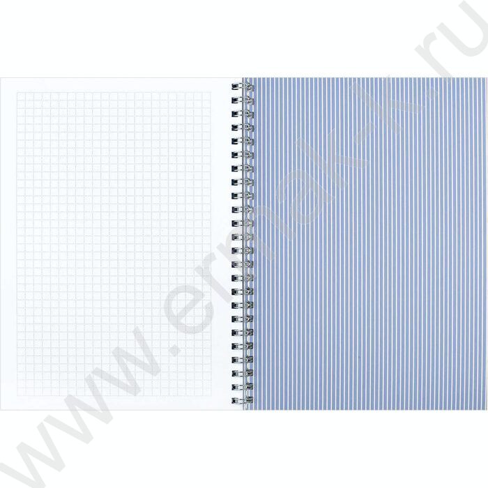 Блокнот  48л А5 спираль "Синие хризантемы" клетка/мат.лам. | Фото 4