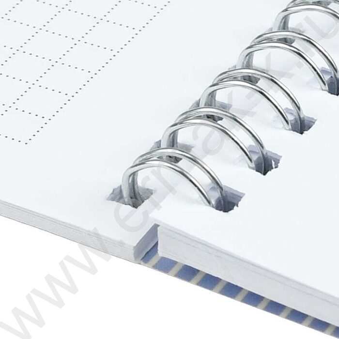 Блокнот  48л А5 спираль "Синие хризантемы" клетка/мат.лам. | Фото 6