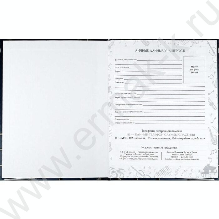 Дневник учащегося муз. школы /тв.обл. "Объёмные ноты"/фольга,глянец/ | Фото 2