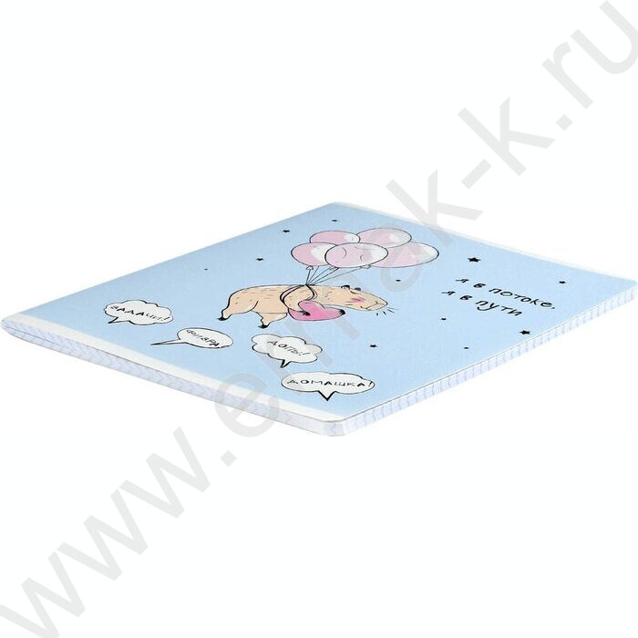 Тетрадь  48л клетка "Пушистые мечтатели" /мат.лам/ ассорти | Фото 3