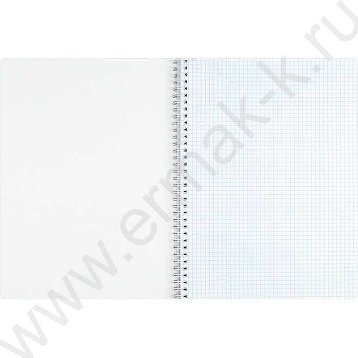 Тетрадь  96л А4 клетка/спираль "Нуарные листья" /мат.лам./ | Фото 4