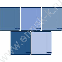 Тетрадь  48л клетка "Синяя гамма" /мел.карт., матов.лам. /ассорти NEW | Фото 1