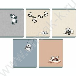 Тетрадь  48л клетка "День панды" /мел.карт., матов.лам. /ассорти NEW | Фото 1