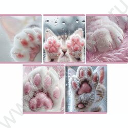 Тетрадь  48л клетка "Лапки" /мел.карт., глянц.лам. /ассорти NEW | Фото 1