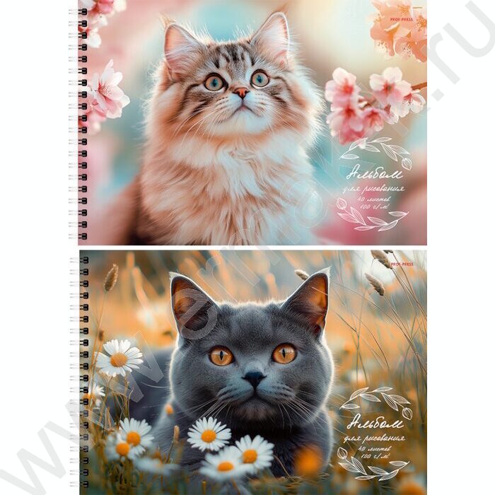 Альбом д/рисования-спираль 40л "Коты и цветы" /лен/ ассорти | Фото 1