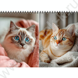 Блокнот  80л А5 спираль "Уютные котики-2" ассорти NEW | Фото 1